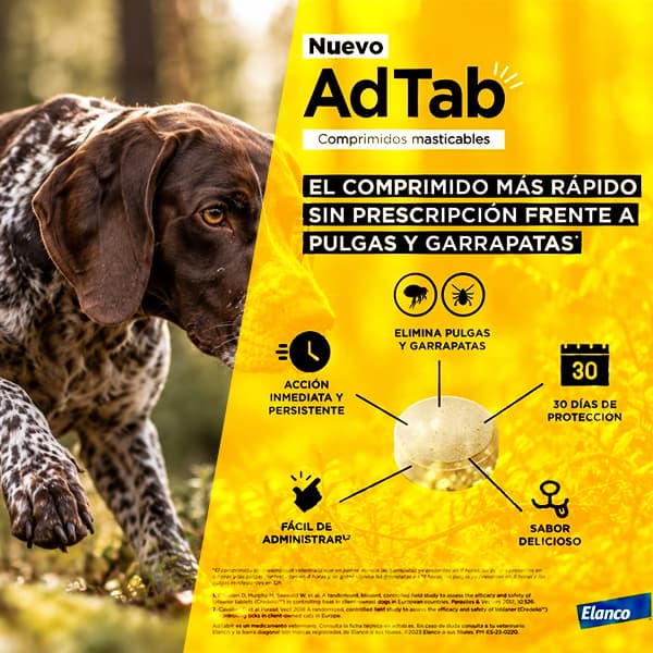Antiparasitario en comprimidos masticables para perros